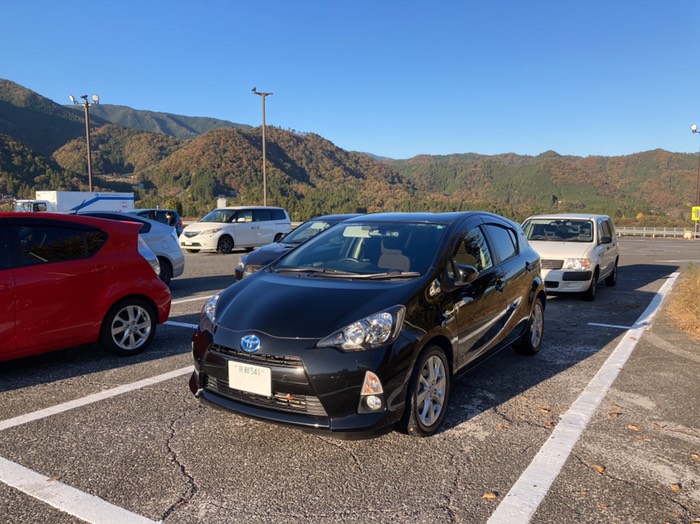 紅葉してますね♪