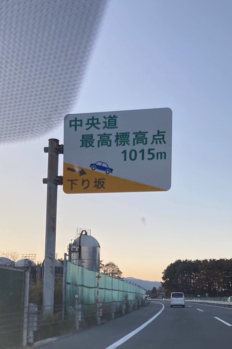 やっと撮れました！