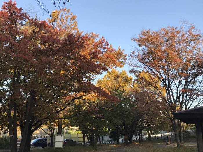 東高根森林公園