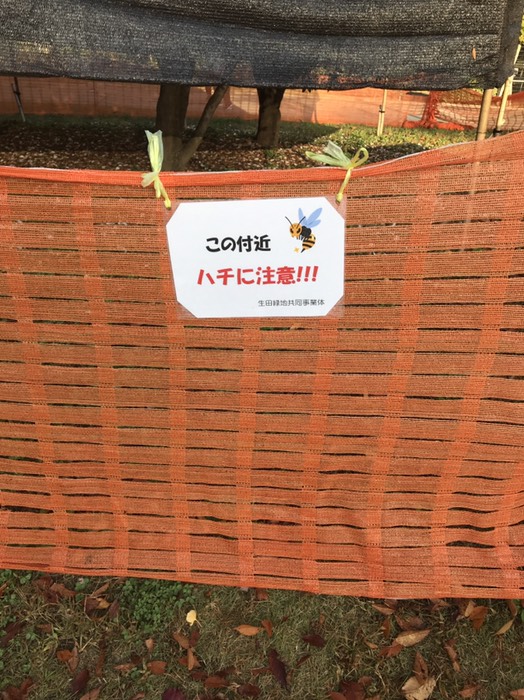 蜂注意！