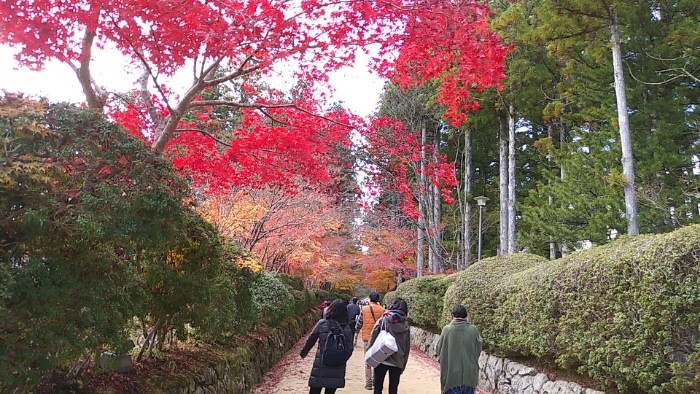 壇上伽藍へ  蛇腹