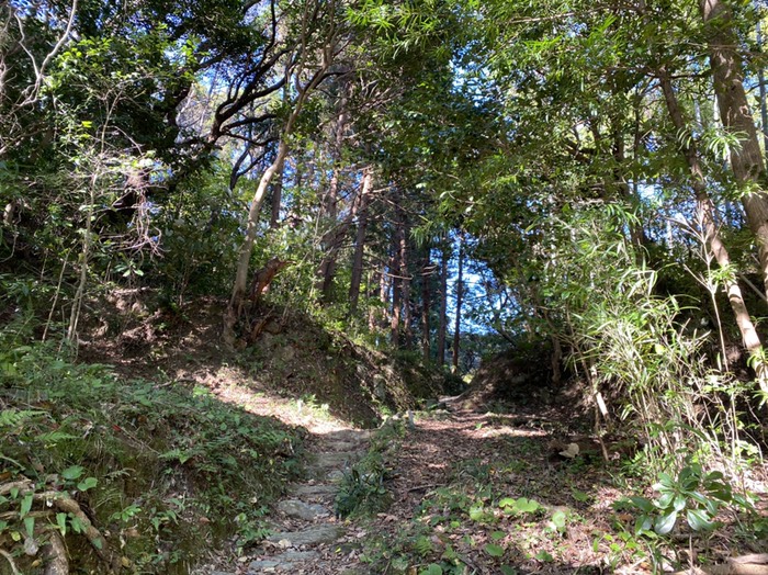 道2