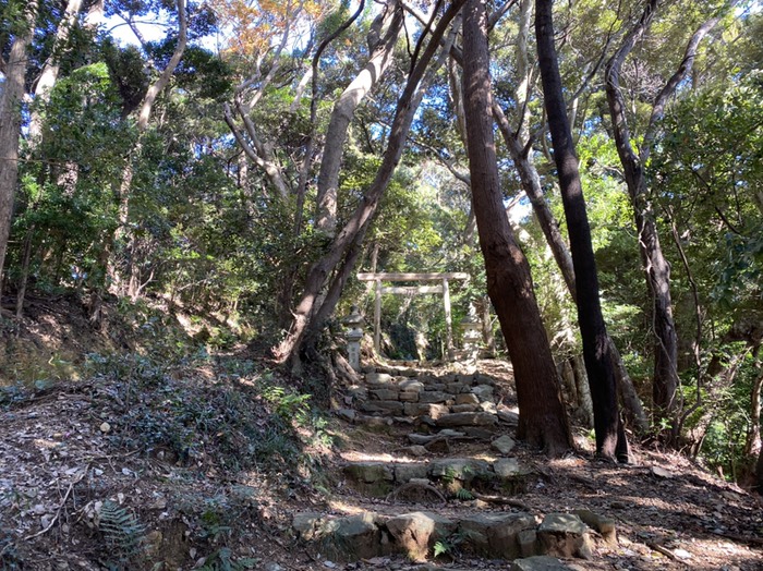 参道鳥居