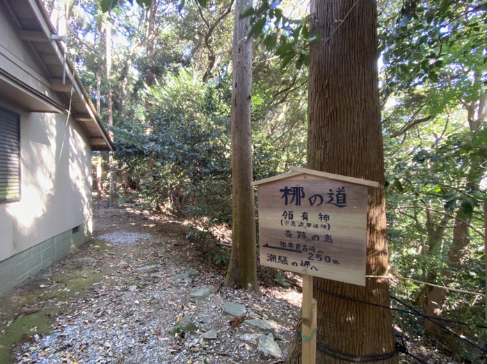 標7