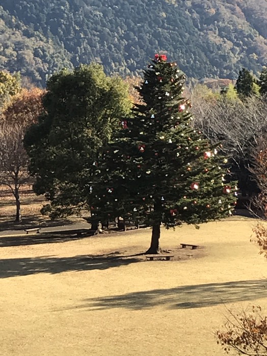 クリスマスツリー