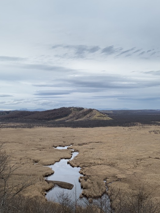 コッタロ湿原展望台