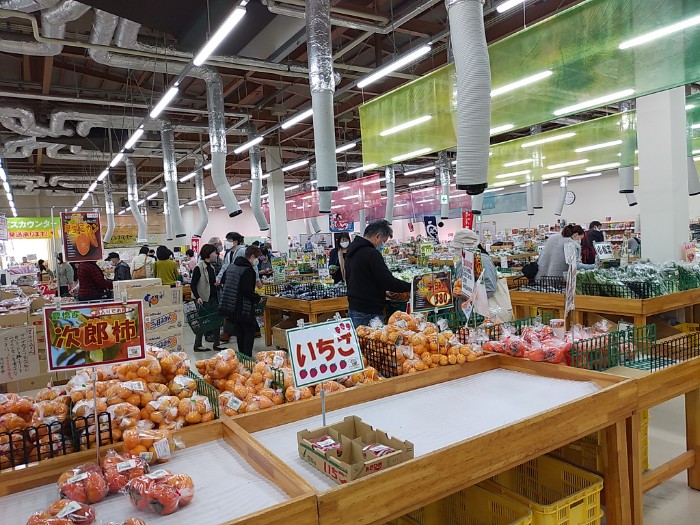 道の駅とよはし