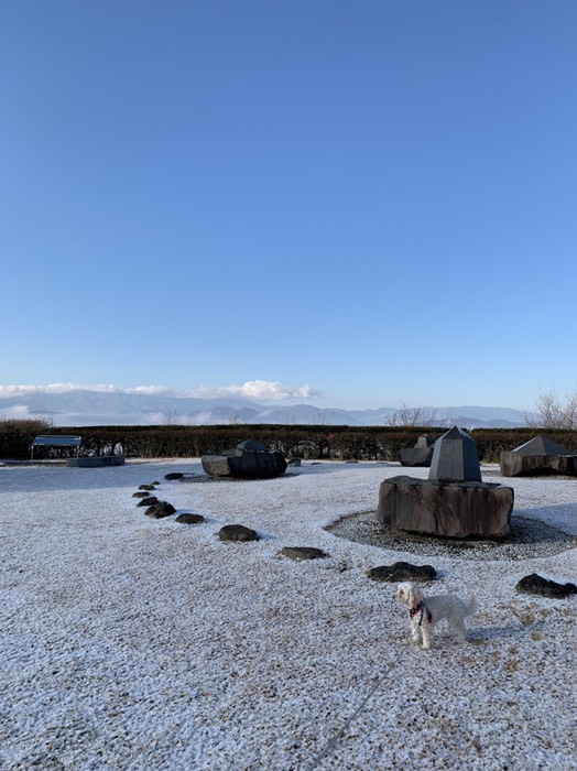 雪の中動きません