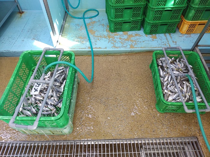 生き物の餌 バックヤード見学