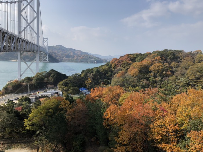 自転車でないと見られない景色