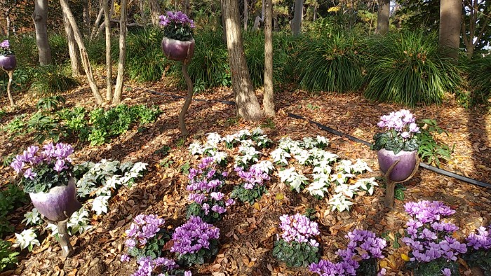 浜名湖ガーデンパーク