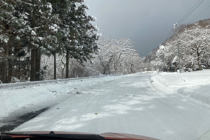しっかり除雪されています