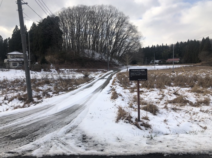 りおうぎあやめ