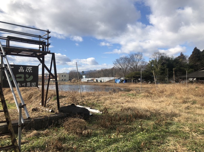 レンコン池とホタルの池