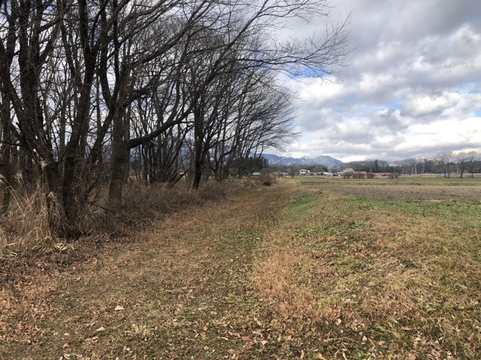 女子大裏の那須連山が美しい所