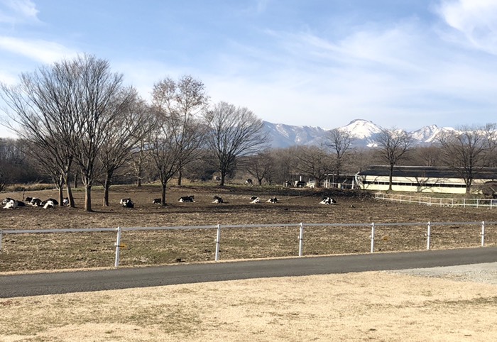 チーズケーキ工房