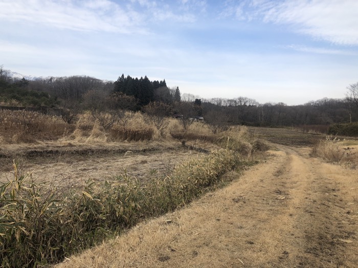 奥が広いあきちになっている