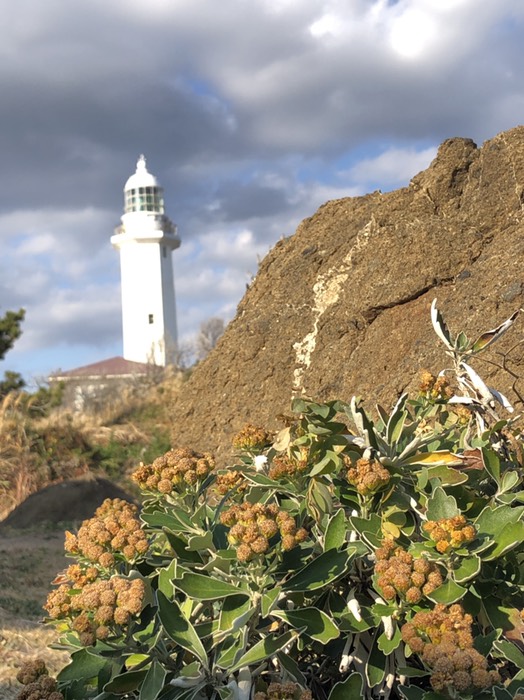 野島崎灯台
