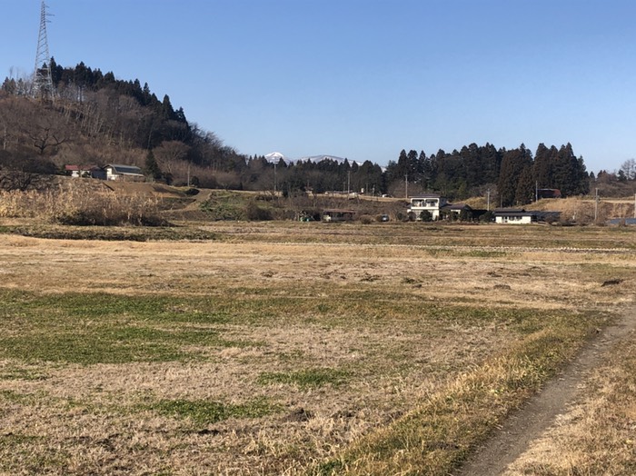 車停めて歩いた