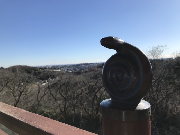 巳