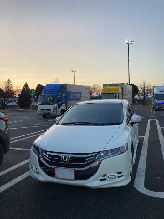 明るくなってきました