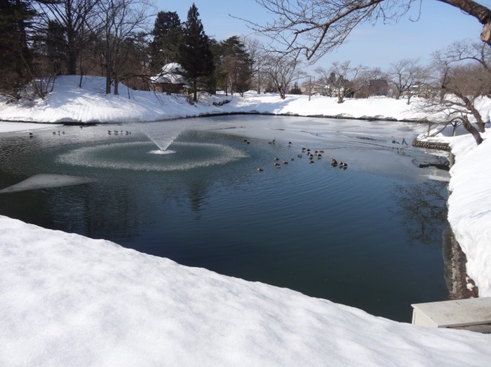お堀も氷張ってます！