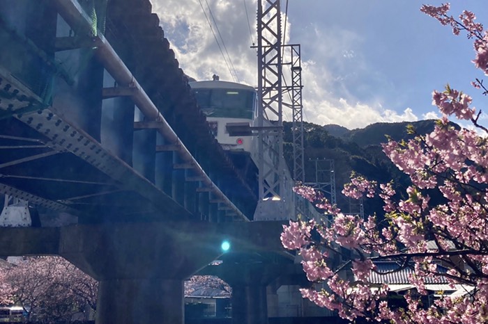 185系が通りました