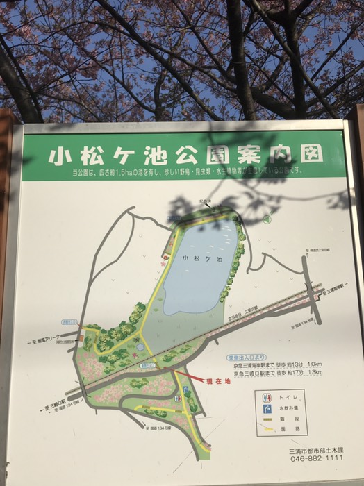 小松ヶ池公園