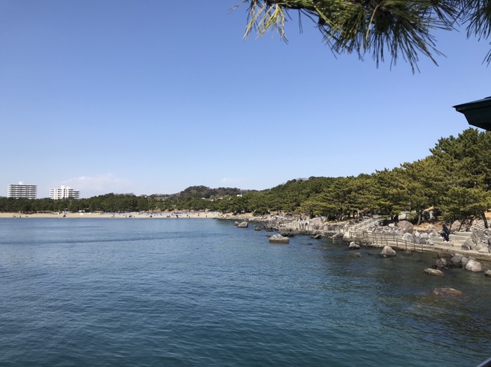 海の公園