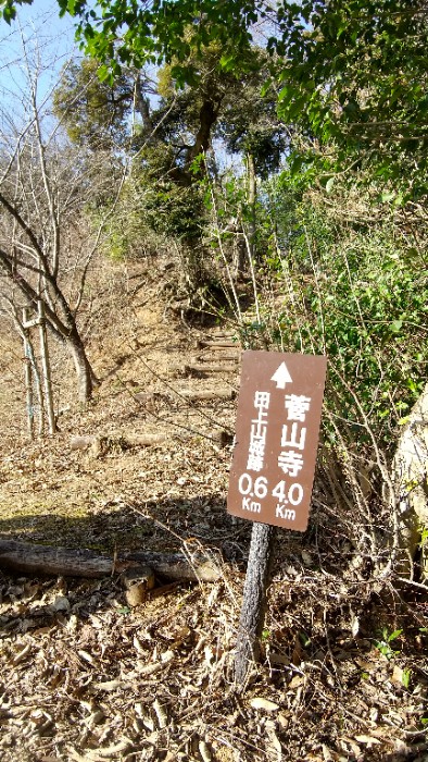林道終点の駐車場付近