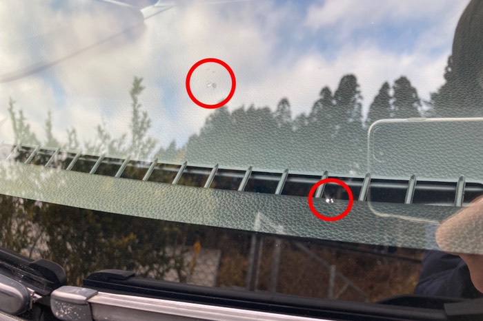 飛び石(外から)