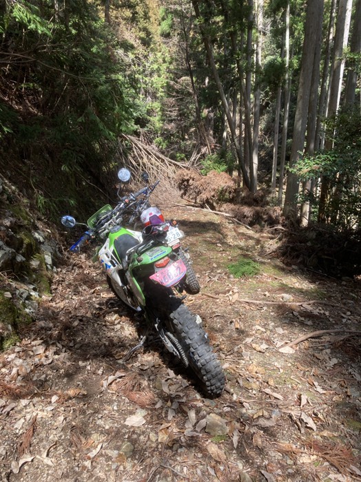 カーテンで行き止まり