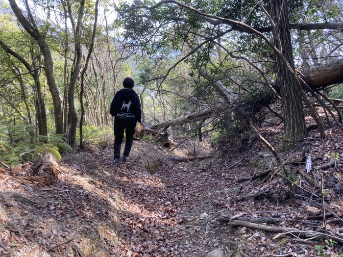 のこぎり持参で再チャレンジ