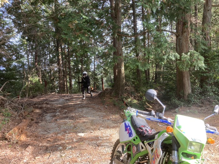 右行った方が楽しい