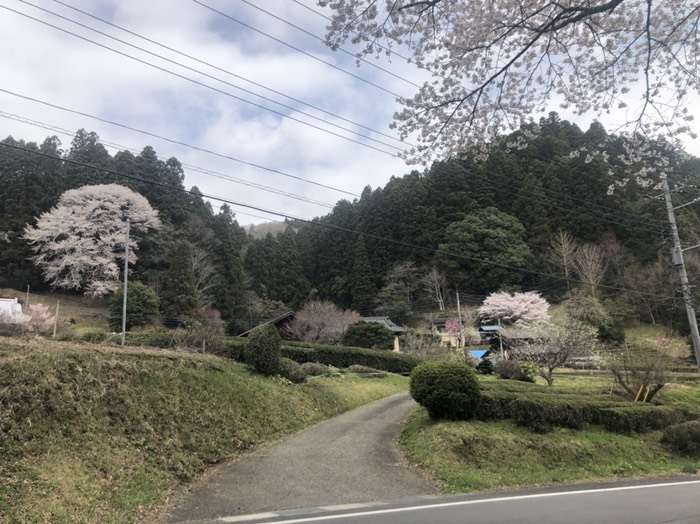茶の里の二つ目のトンネル過ぎた民家