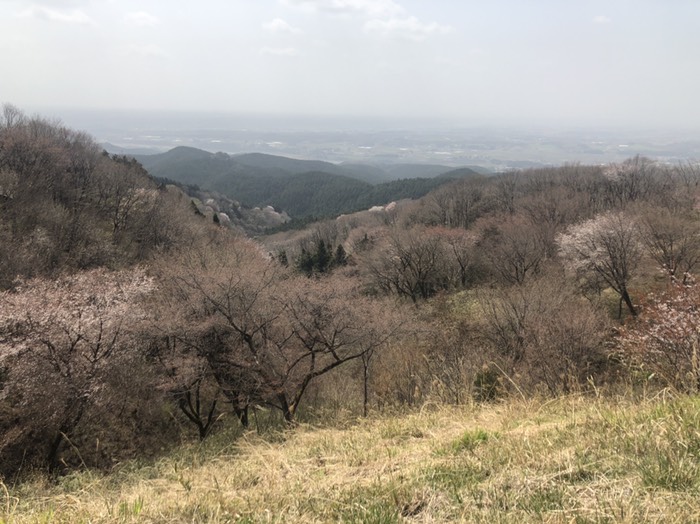 御亭山こてやさん