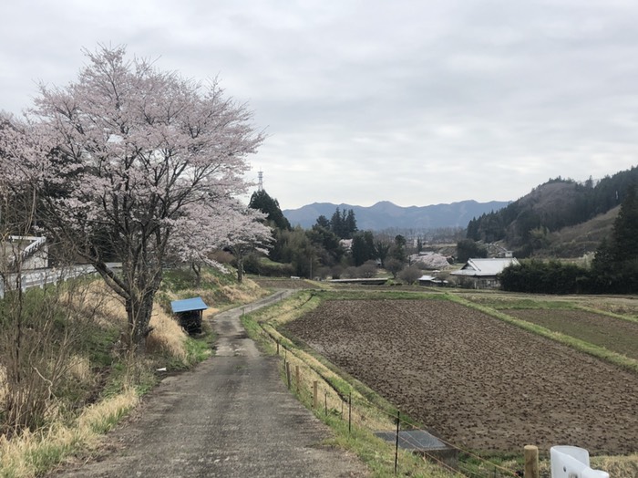 Pパーキング有り