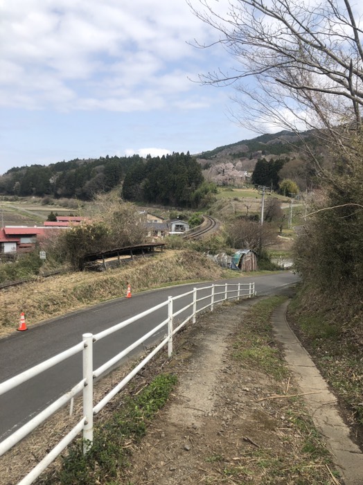 花終わりの戸津部の桜