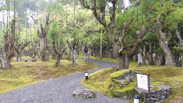 庭園 しょうざんりゾート京都