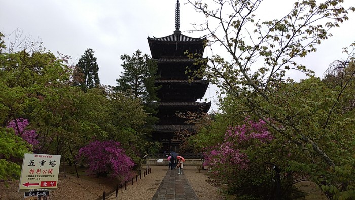 仁和寺 五重塔