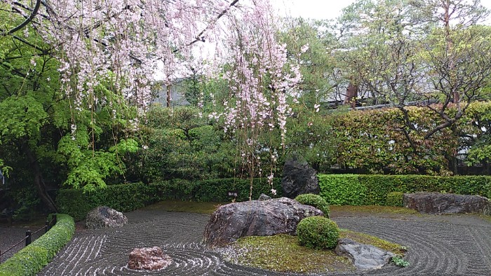 妙心寺退蔵院  陰の庭