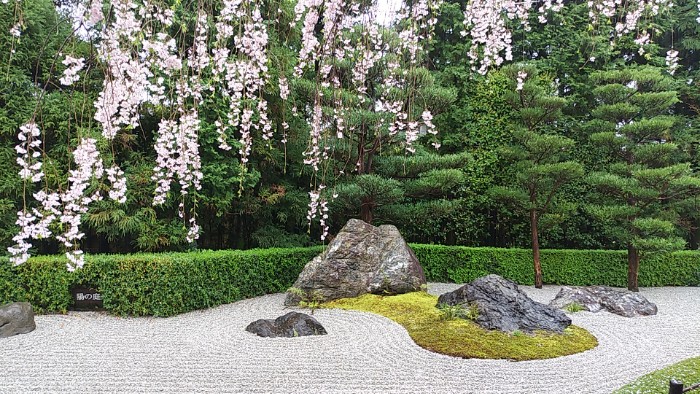 妙心寺退蔵院  陽の庭