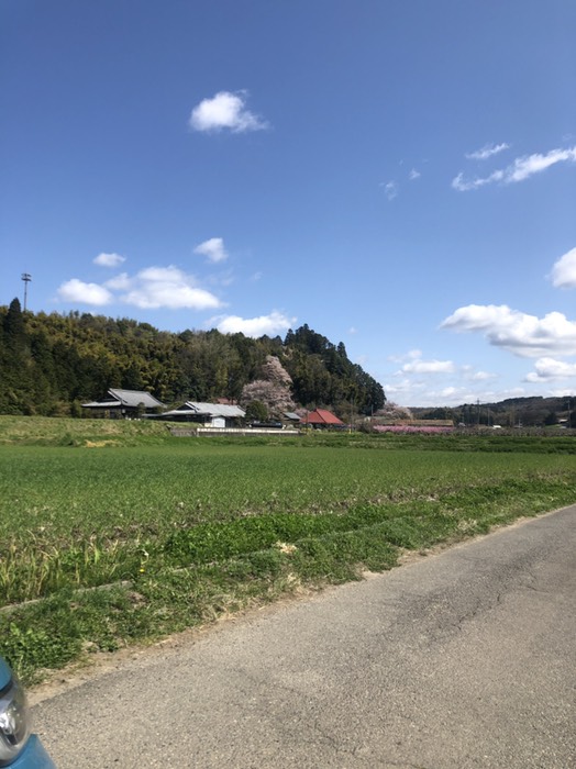 両郷のリンゴ園