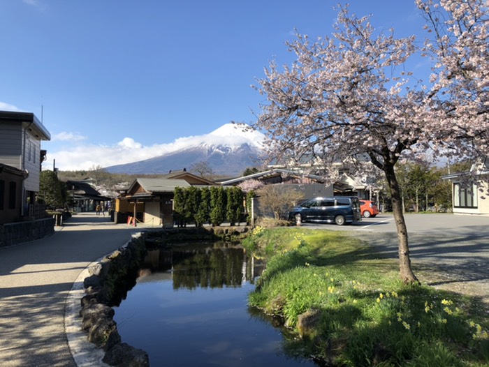 忍野八海　鏡池