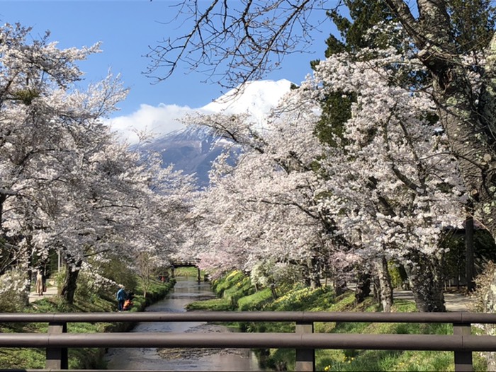 忍野八海　撮影スポット