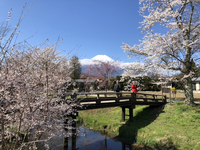 忍野八海　撮影スポット