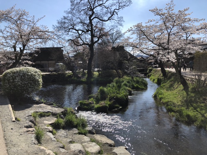 忍野八海への戻り道