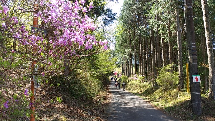 さわやかウォーキング