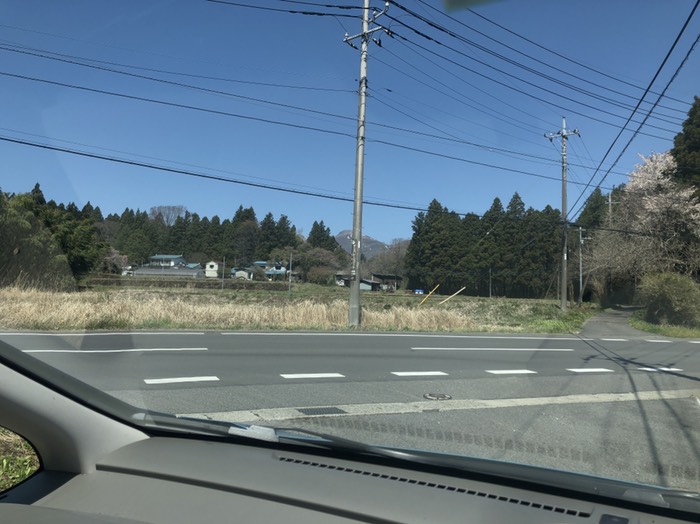 桜が綺麗な農家、桜終わり