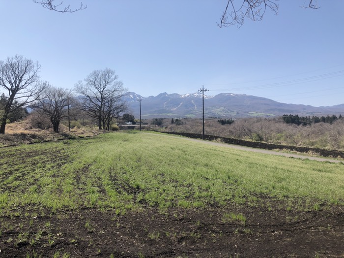 Pに車を置いてきれいな農家を散策